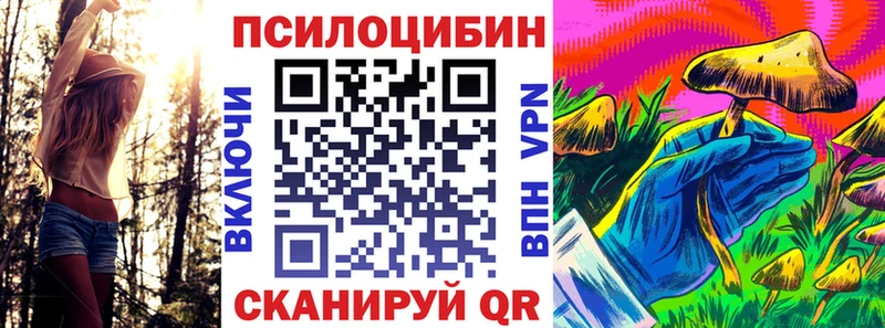 Псилоцибиновые грибы мухоморы  дарнет шоп  Заречный 